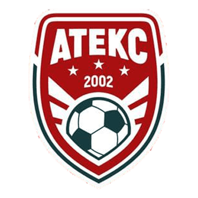 АТЕКС (КИЇВ) logo